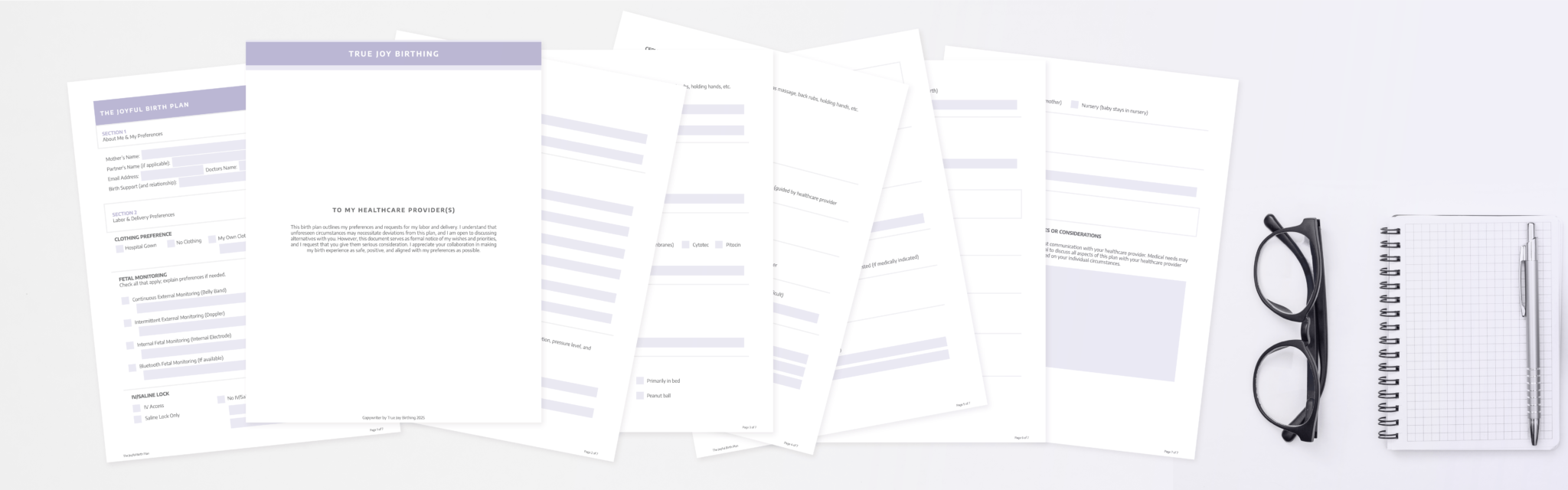 Joyful Birth Plan checklist with sections for labor, monitoring, and postpartum preferences
