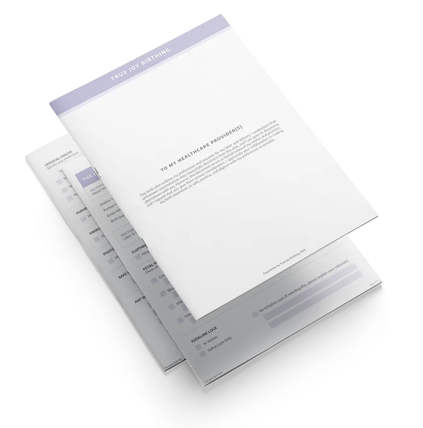 Joyful Birth Plan: an alternate view of the fillable PDF birth plan