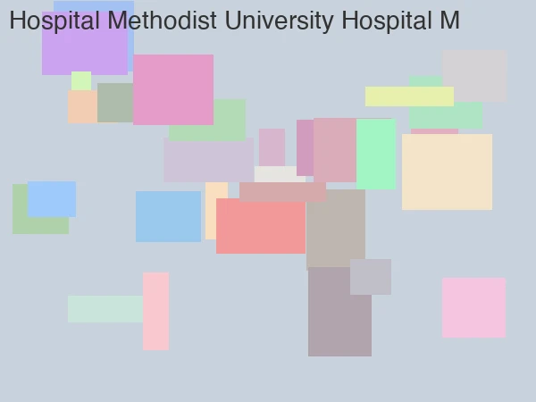 Methodist University Hospital (Methodist Le Bonheur) hospital