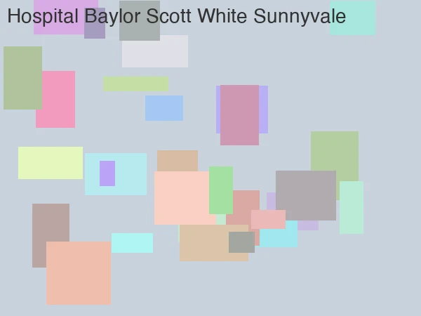 Baylor Scott & White Sunnyvale hospital